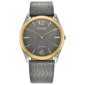 Citizen Stainless Steel Dress/Classic Eco Unisex Watch