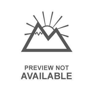 Citizen Stainless Steel Dress/Classic Eco Ladies Watch