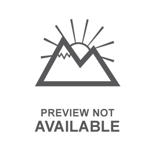 Citizen Stainless Steel Dress/Classic Eco Ladies Watch