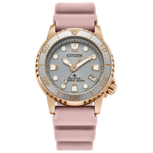 Citizen Stainless Steel Promaster Eco Ladies Watch